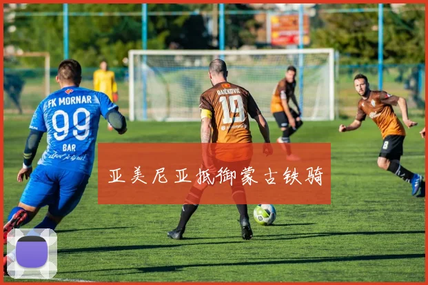 亚美尼亚抵御蒙古铁骑