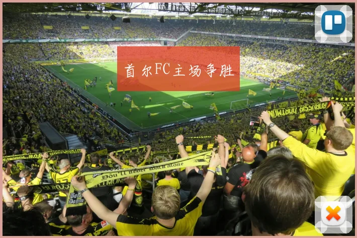 首尔FC主场争胜