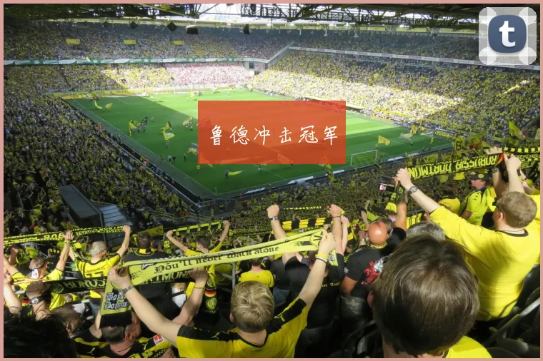 鲁德冲击冠军