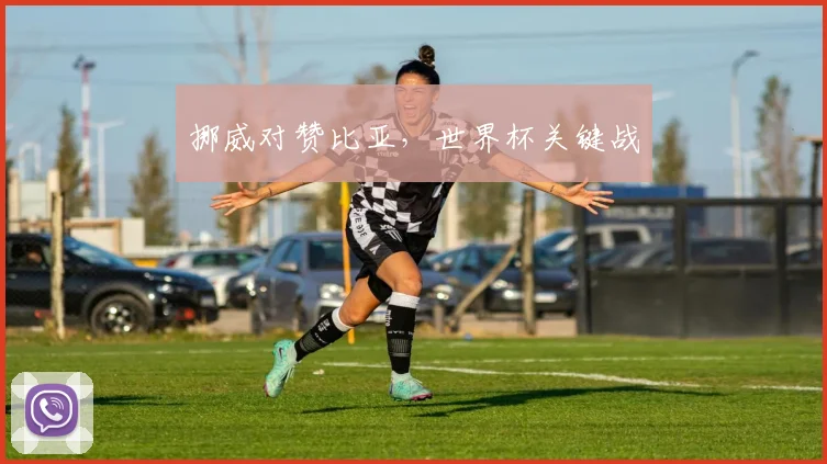 挪威对赞比亚，世界杯关键战