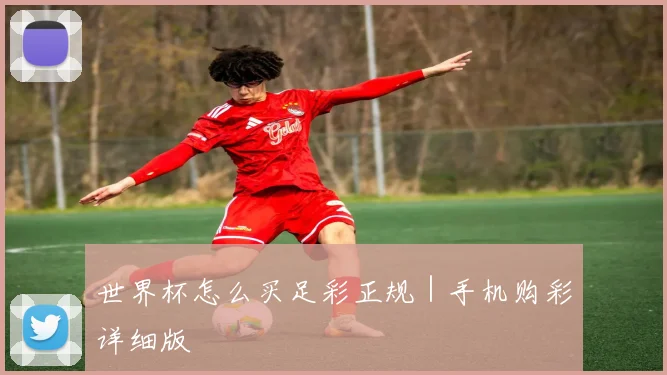 世界杯怎么买足彩正规｜手机购彩详细版