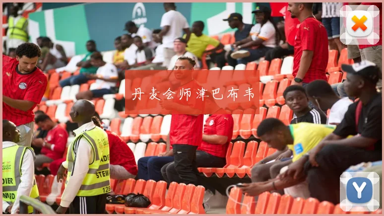 丹麦会师津巴布韦