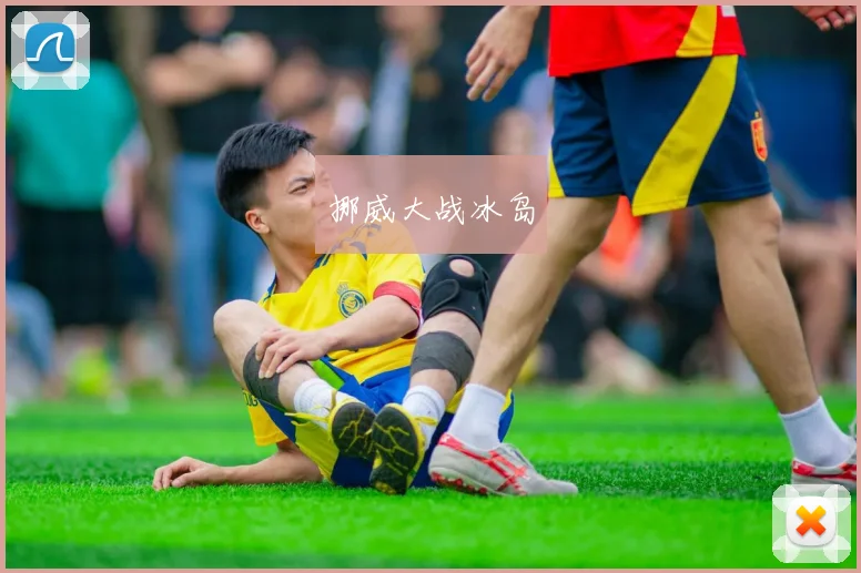 挪威大战冰岛