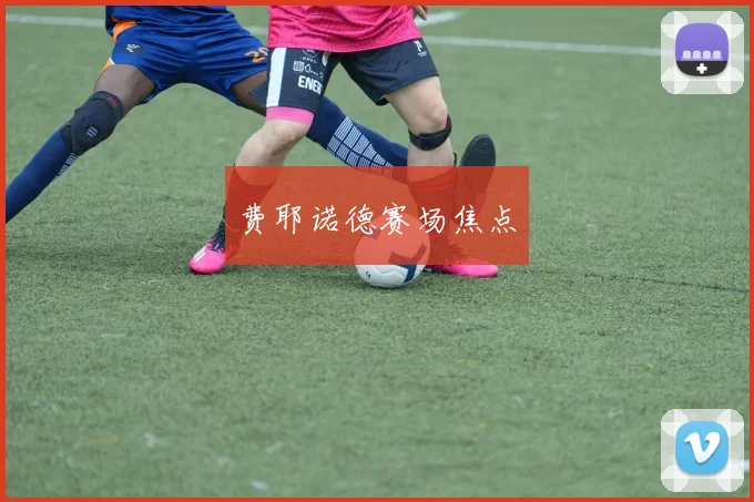 费耶诺德赛场焦点