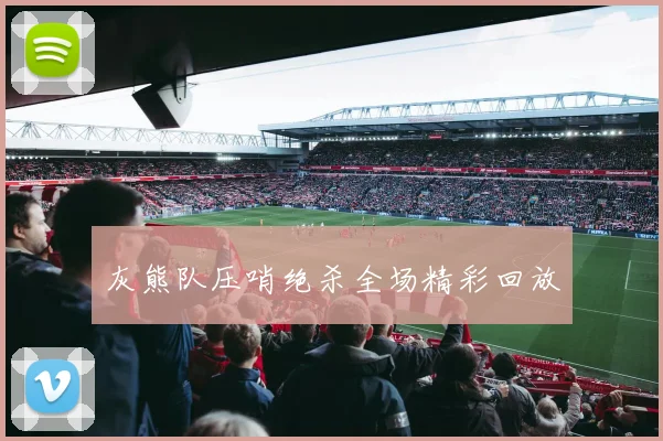 灰熊队压哨绝杀全场精彩回放