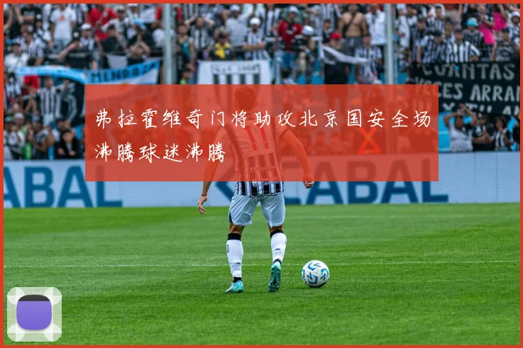 弗拉霍维奇门将助攻北京国安全场沸腾球迷沸腾