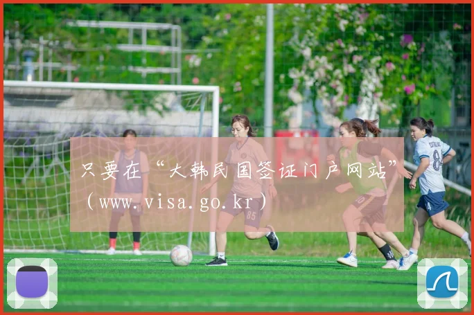 只要在“大韩民国签证门户网站”（www.visa.go.kr）