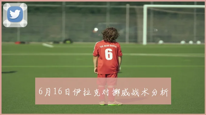 6月16日伊拉克对挪威战术分析