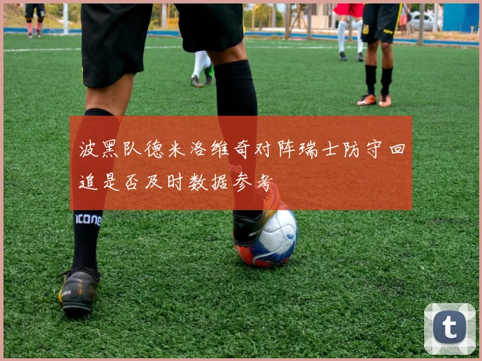 波黑队德米洛维奇对阵瑞士防守回追是否及时数据参考